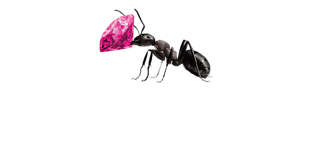 ピンクダイヤモンド